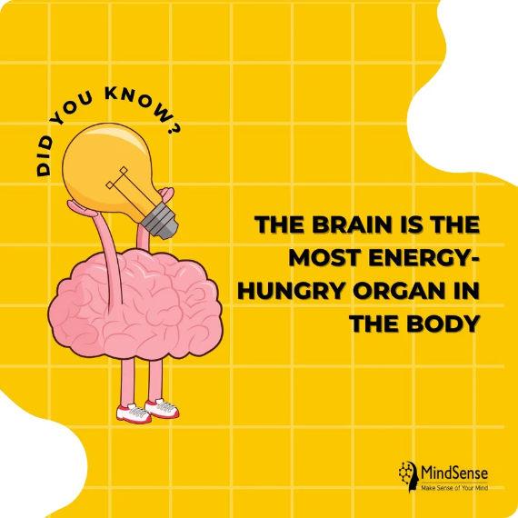 The Brain is the most energy hungry organ in the body-Take MindSense1